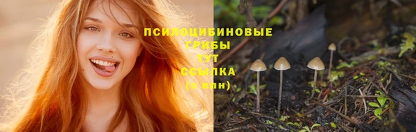 прущая мука Лагань