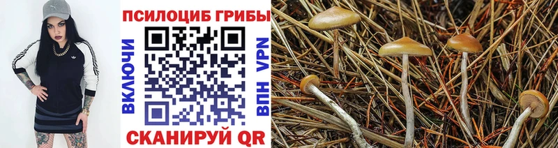 Псилоцибиновые грибы Magic Shrooms  OMG рабочий сайт  Нерчинск  хочу  